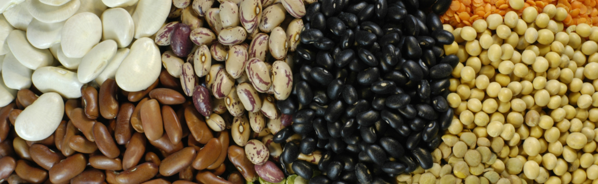 Nutritional Power of Millets, Pulses, and Grains