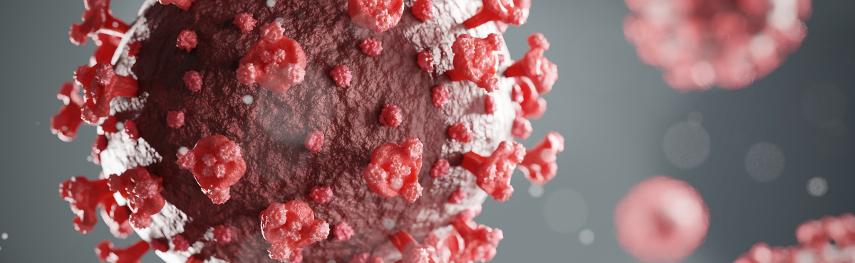 Increase in heart attack deaths decoded? Severe COVID can cause lasting damage to the heart